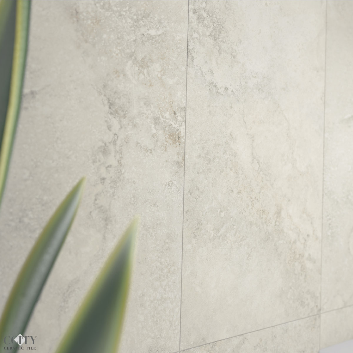 �t�Y��ܩi�ۺϿj