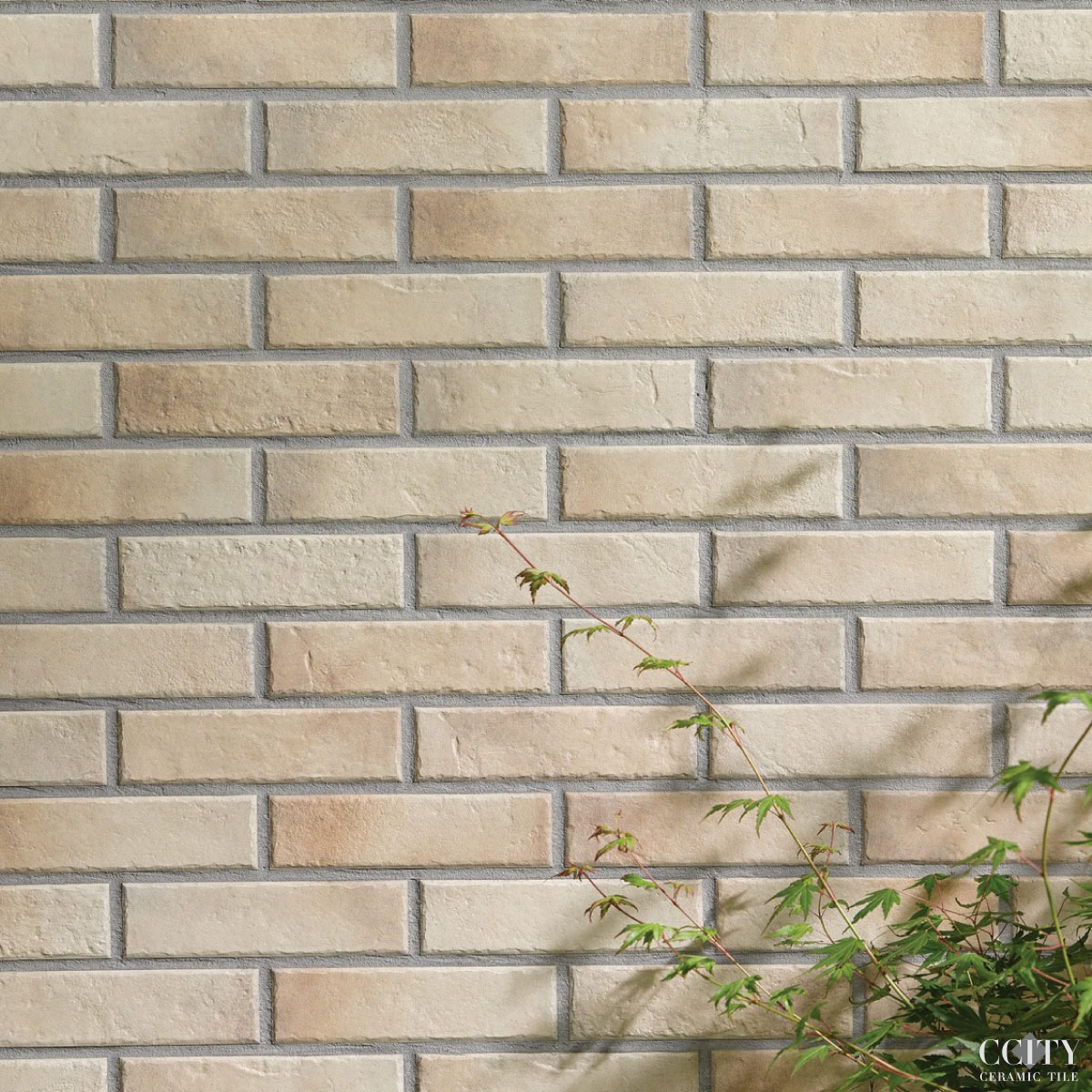 �q�����_�j��ƥۿj-���Ǵ�