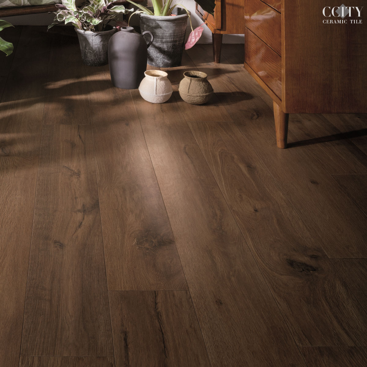 �����w�쯾�j